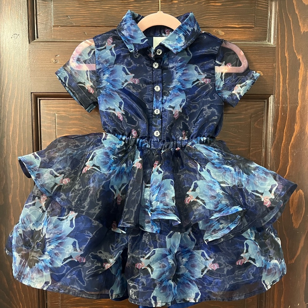 Cinderella organza party dress